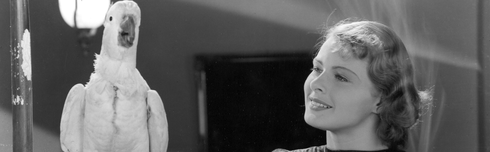 Ingrid Bergman At 100: A Swedish Idol: - Scandinavia House