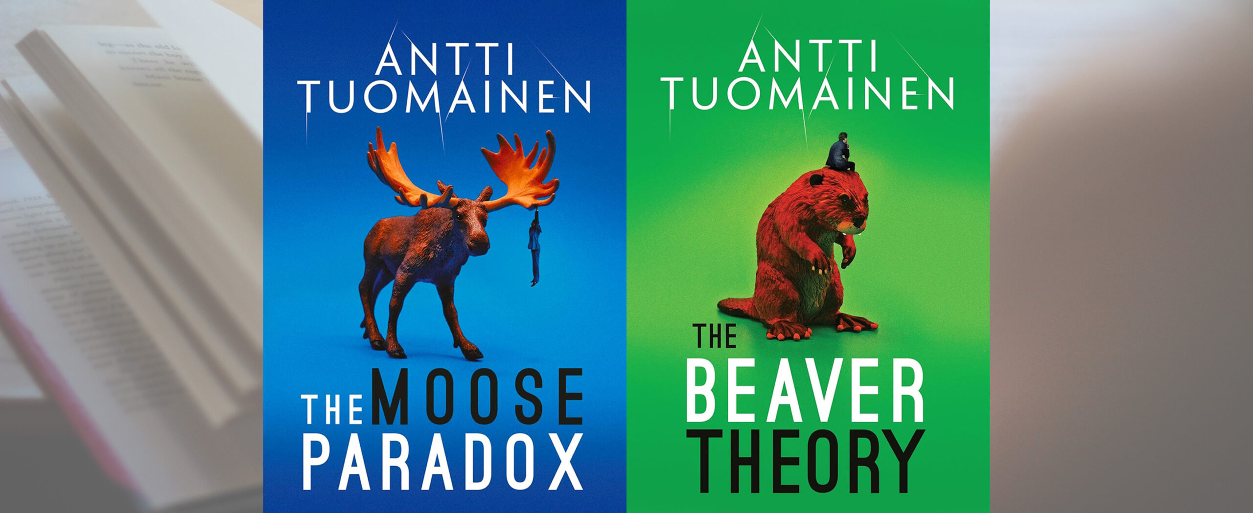 The Moose Paradox & The Beaver Theory